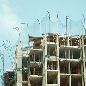 No hay imagen establecida 