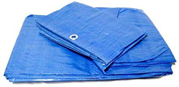 No hay imagen establecida 