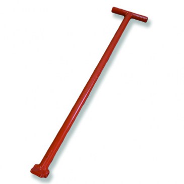 No hay imagen establecida 