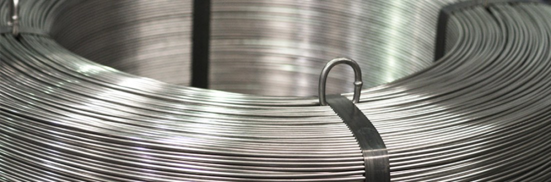 No hay imagen establecida 