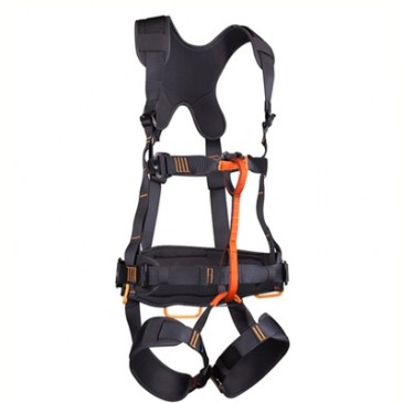 No hay imagen establecida 