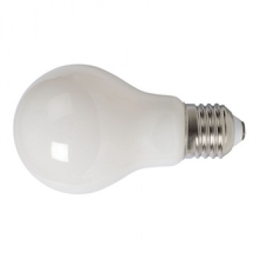 No hay imagen establecida 