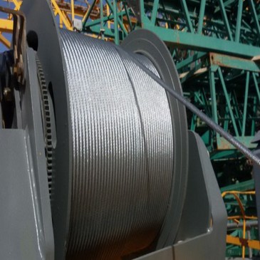 No hay imagen establecida 