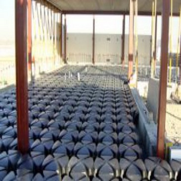 No hay imagen establecida 