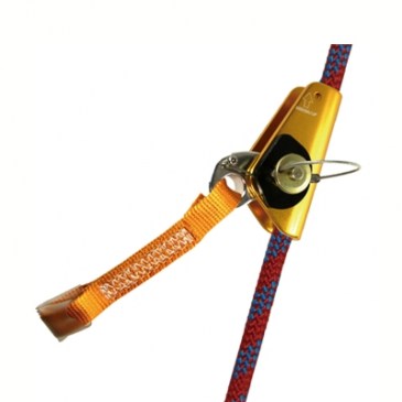 No hay imagen establecida 