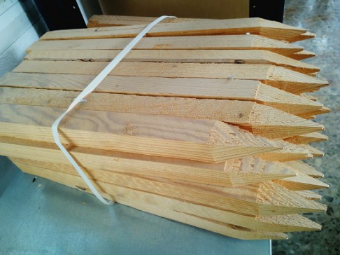 No hay imagen establecida 