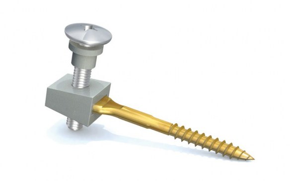 No hay imagen establecida 