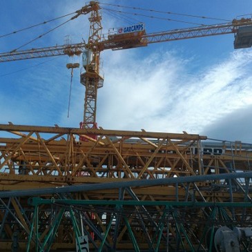 No hay imagen establecida 