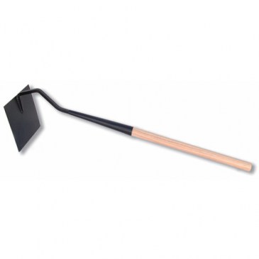 No hay imagen establecida 