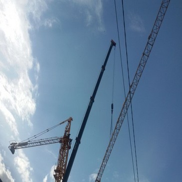 No hay imagen establecida 