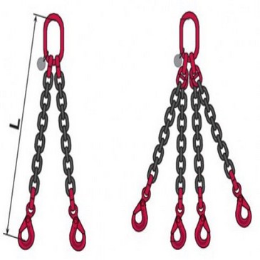 No hay imagen establecida 