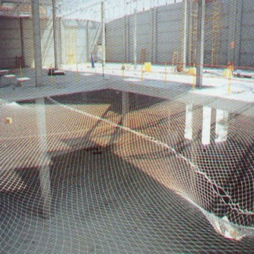 No hay imagen establecida 