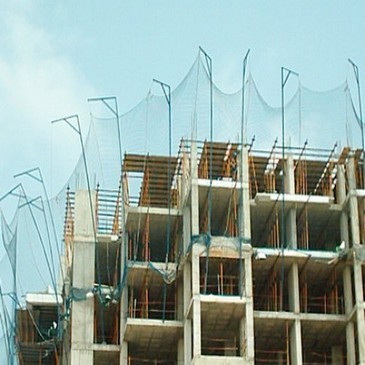 No hay imagen establecida 