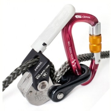 No hay imagen establecida 