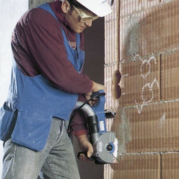 No hay imagen establecida 