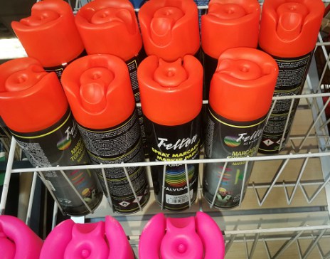 No hay imagen establecida 