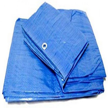 No hay imagen establecida 